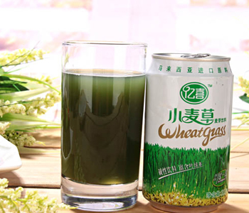 小麦草怎么榨汁 小麦草榨汁食用方法 小麦草榨汁的功效