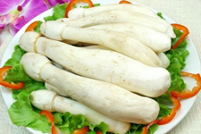 鸡腿菇