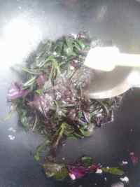 蚝油紫贝菜的做法步骤4