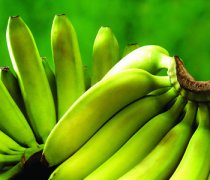 【香蕉不熟能吃吗】香蕉的催熟方法_香蕉的营养价值