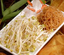 【绿豆芽炒粉条】绿豆芽炒粉条的